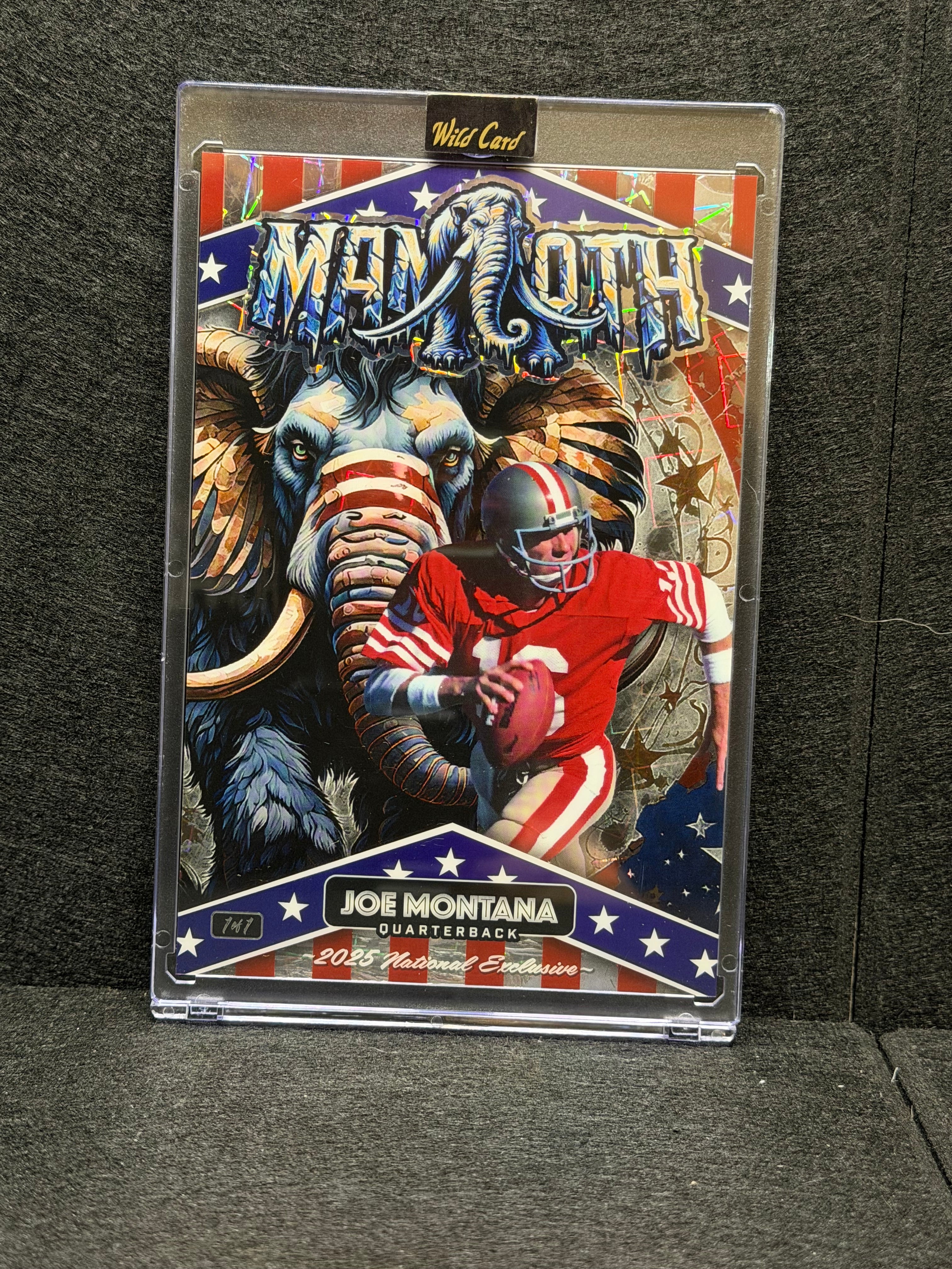 2025 Wild Card Mammoth Joe Montana Dino-Might National Exclusive Aluminated