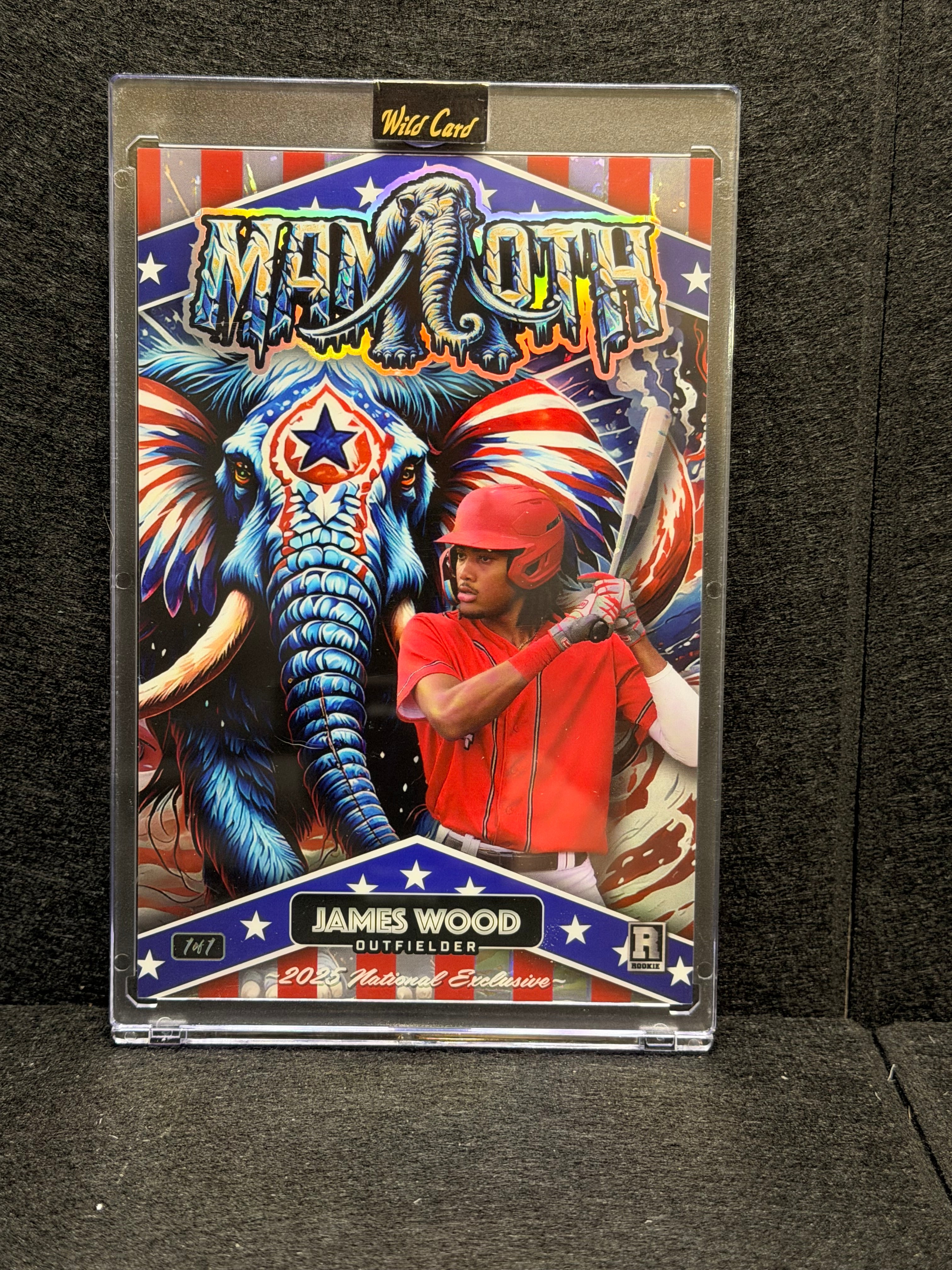 James Wood 2023 Wild Card Mammoth 1/1 Rookie National Exclusive