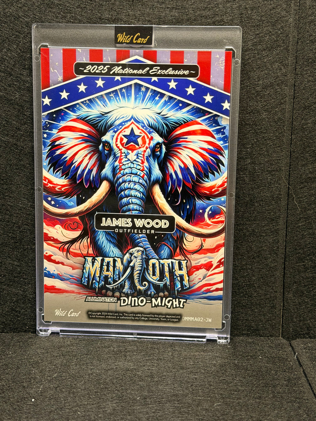 James Wood 2023 Wild Card Mammoth 1/1 Rookie National Exclusive