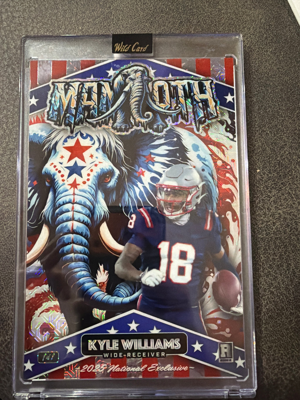 Kyle Williams 2023 Wild Card Mammoth 1/7 Rookie National Exclusive