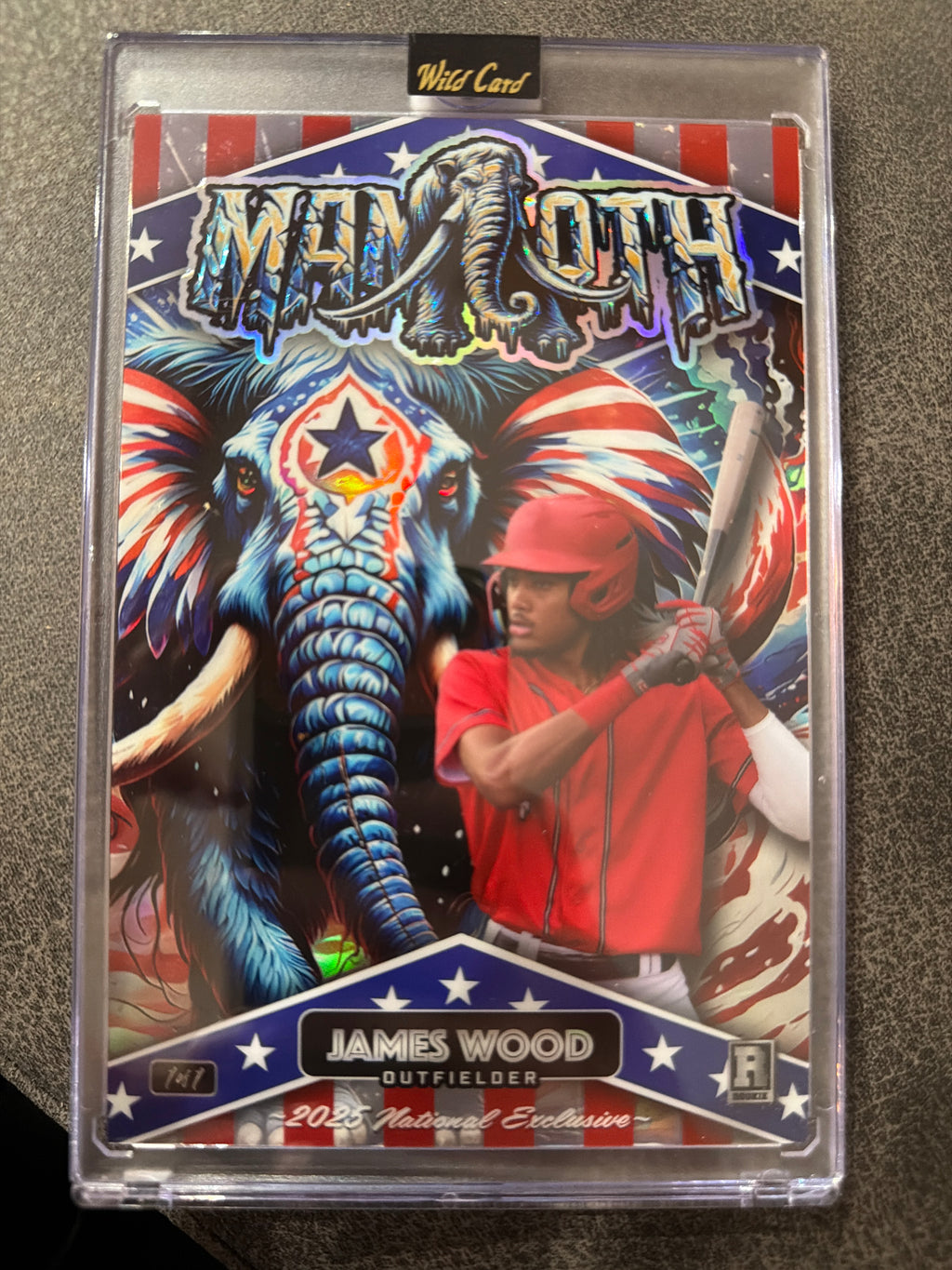 Kyle Williams 2023 Wild Card Mammoth 1/7 Rookie National Exclusive